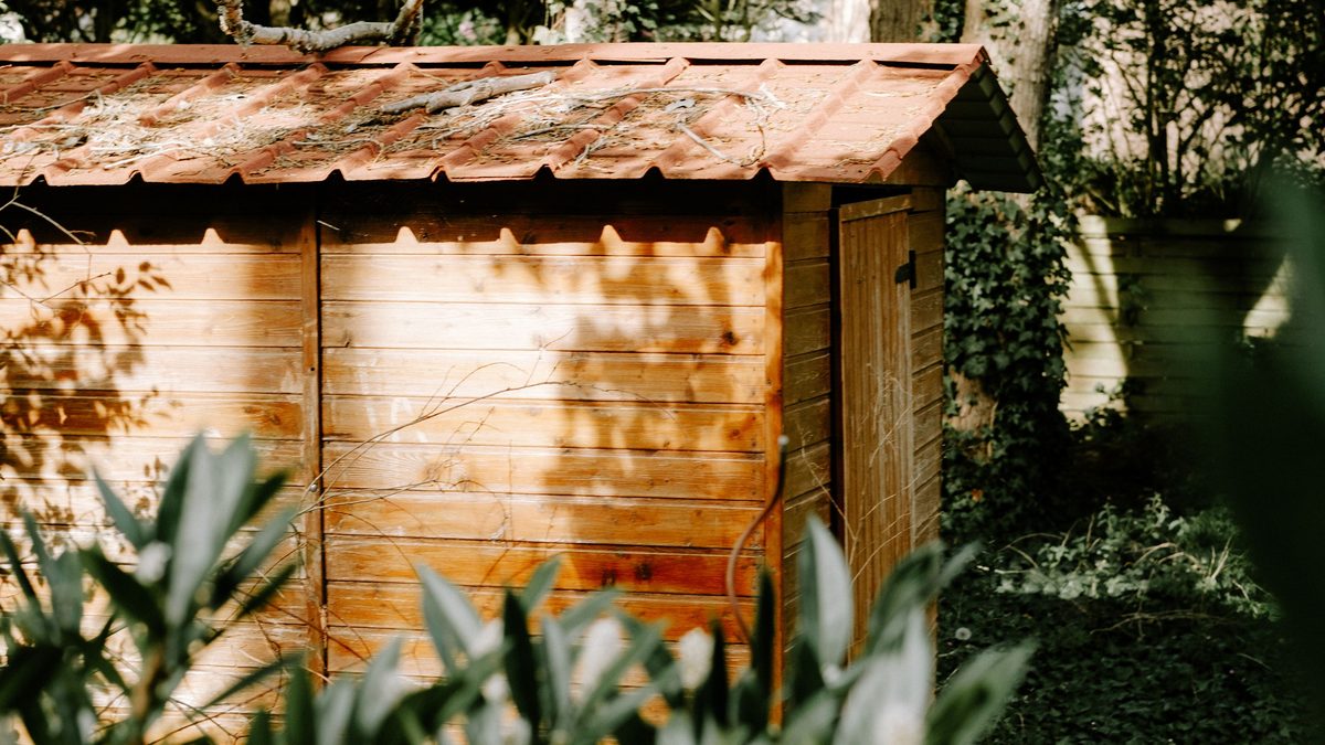 électricité abri de jardin Kain